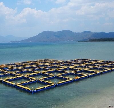 Aquaculture photo archive &middot; image 16