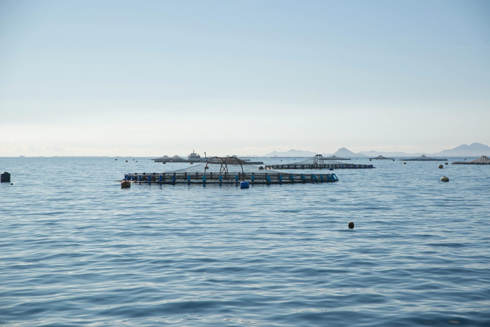 Aquaculture photo archive &middot; image 01