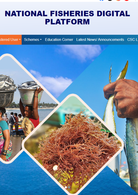 Ambit Eco Venture &mdash; company artwork