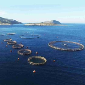 Aquaculture photo archive &middot; image 15