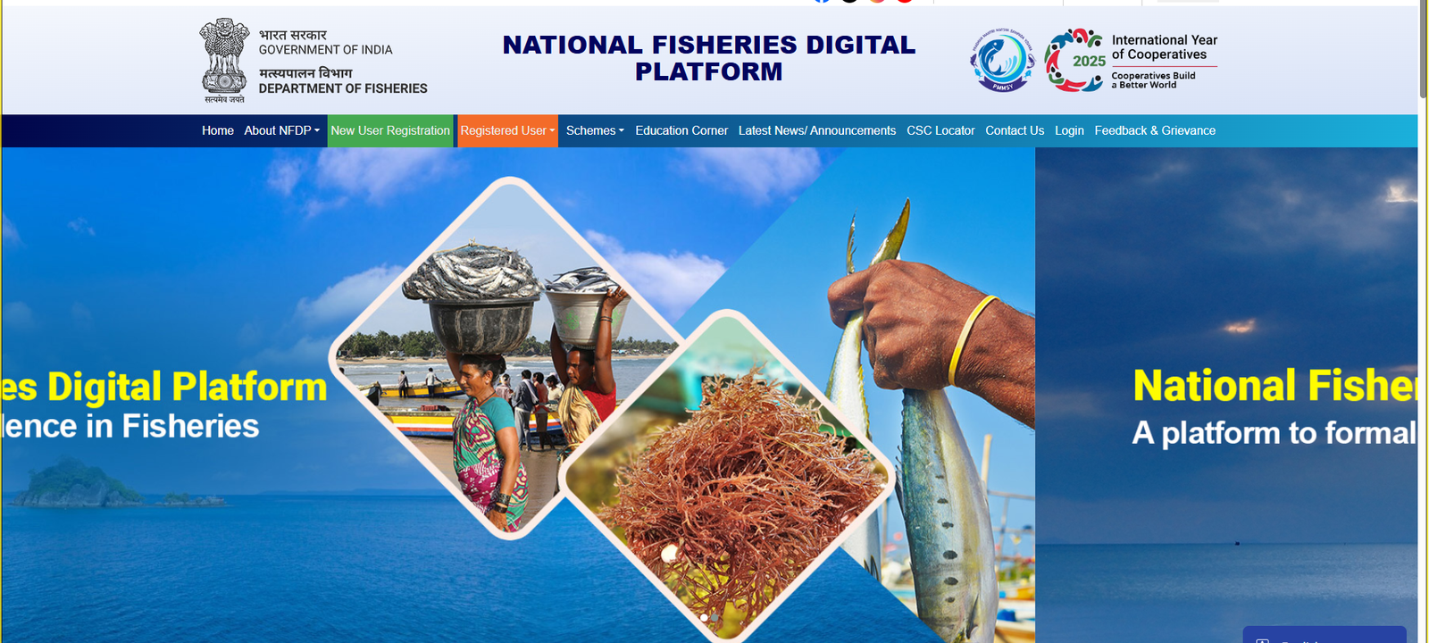 National Fisheries Digital Platform &mdash; original reference graphic