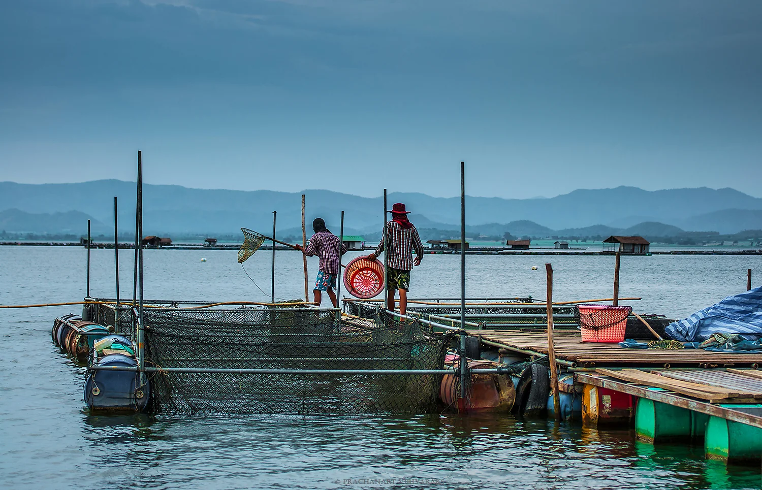 Fish farmers at Kraseao Dam Reservoir, Suphan Buri, Thailand.